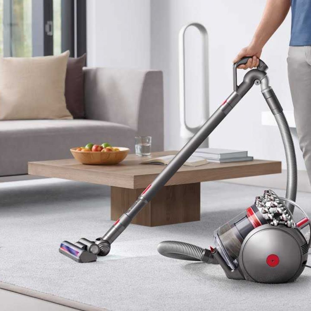 Dyson animal